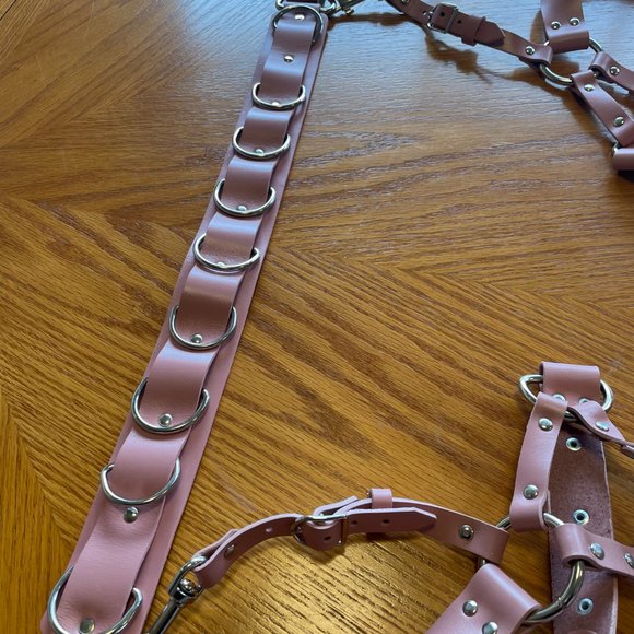 Bleak & Sleek REAL PINK LEATHER Leo Garter belt and garter Size Large - Picture 7 of 12